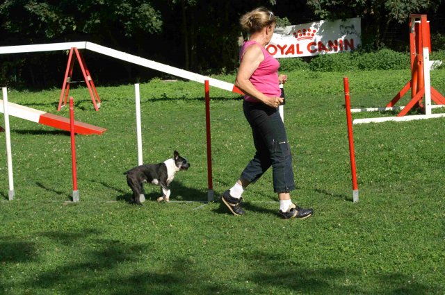 agility 2011-08